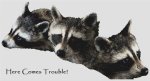 (image for) Here Comes Trouble